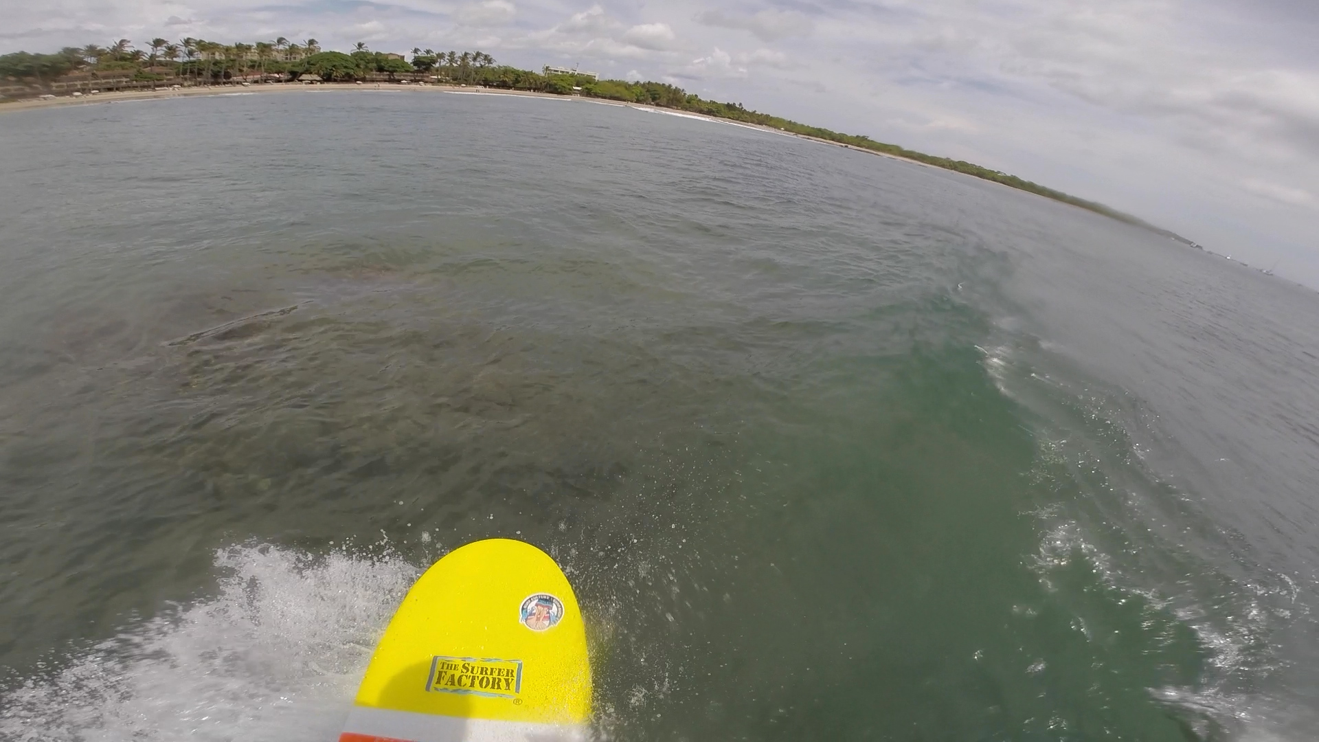 dry reef exposed on wave being rode